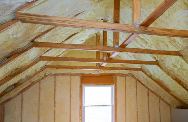 Best Specialized Insulation Services in Romeovle, IL