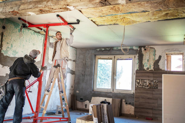 Best Spray Foam Insulation in Romeovle, IL