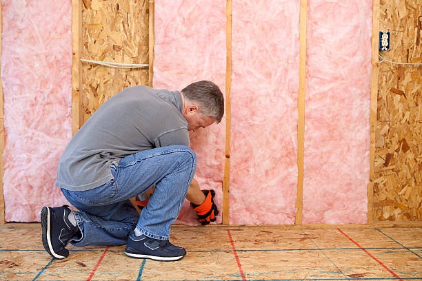 Best Commercial Insulation in Romeovle, IL