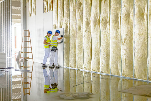 Best DIY Insulation Kits and Guidance in Romeovle, IL
